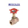 Globe Valve